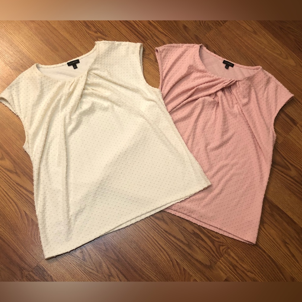 Talbots tops, bindle of 2, ivory and mauve, Large